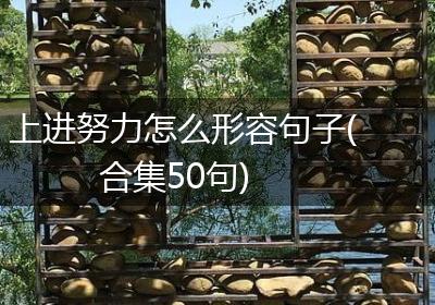 上进努力怎么形容句子(合集50句)