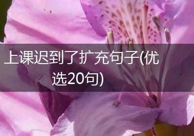 上课迟到了扩充句子(优选20句)