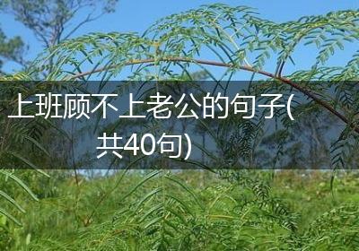 上班顾不上老公的句子(共40句)