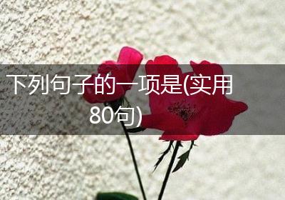下列句子的一项是(实用80句)