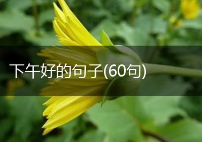 下午好的句子(60句)