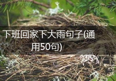 下班回家下大雨句子(通用50句)
