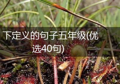 下定义的句子五年级(优选40句)