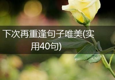 下次再重逢句子唯美(实用40句)