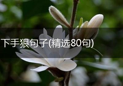 下手狠句子(精选80句)