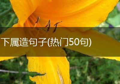 下属造句子(热门50句)