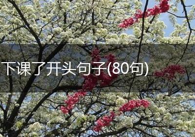 下课了开头句子(80句)