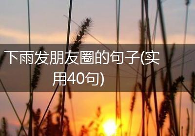 下雨发朋友圈的句子(实用40句)