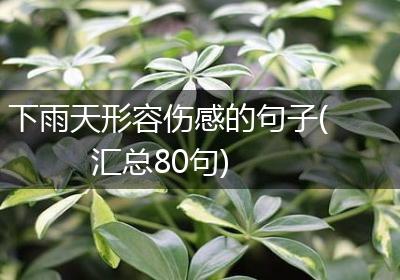 下雨天形容伤感的句子(汇总80句)