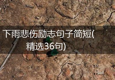 下雨悲伤励志句子简短(精选36句)