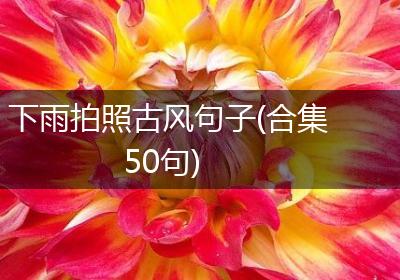 下雨拍照古风句子(合集50句)