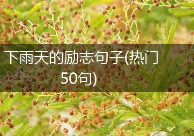 下雨天的励志句子(热门50句)