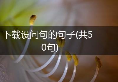 下载设问句的句子(共50句)