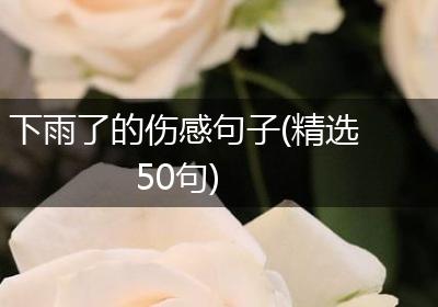 下雨了的伤感句子(精选50句)