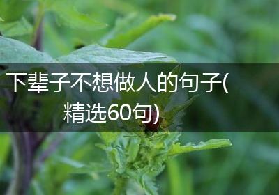 下辈子不想做人的句子(精选60句)