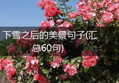 下雪之后的美景句子(汇总60句)