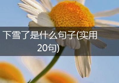 下雪了是什么句子(实用20句)