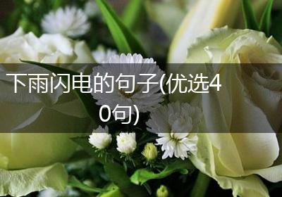 下雨闪电的句子(优选40句)