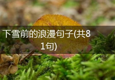 下雪前的浪漫句子(共81句)