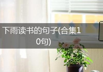 下雨读书的句子(合集10句)