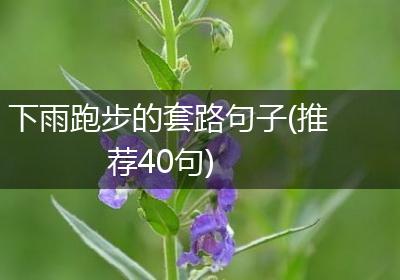 下雨跑步的套路句子(推荐40句)