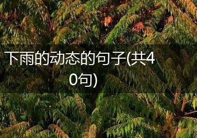 下雨的动态的句子(共40句)