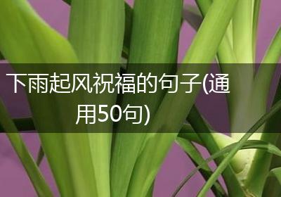 下雨起风祝福的句子(通用50句)