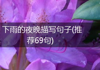下雨的夜晚描写句子(推荐69句)