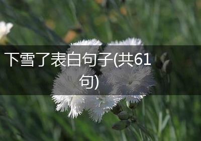 下雪了表白句子(共61句)