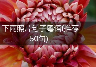 下雨照片句子粤语(推荐50句)