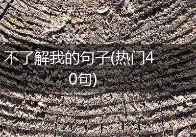 不了解我的句子(热门40句)