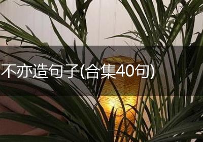不亦造句子(合集40句)