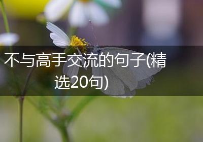 不与高手交流的句子(精选20句)
