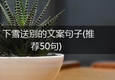 下雪送别的文案句子(推荐50句)