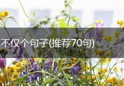 不仅个句子(推荐70句)