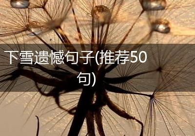 下雪遗憾句子(推荐50句)