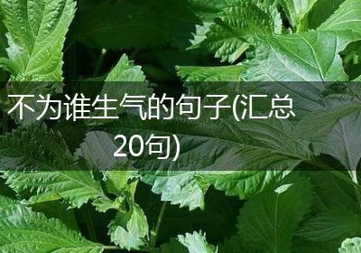 不为谁生气的句子(汇总20句)