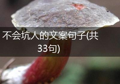 不会坑人的文案句子(共33句)