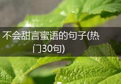 不会甜言蜜语的句子(热门30句)