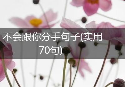 不会跟你分手句子(实用70句)