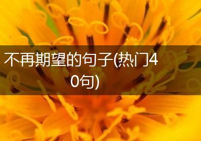 不再期望的句子(热门40句)