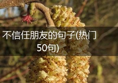 不信任朋友的句子(热门50句)