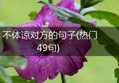 不体谅对方的句子(热门49句)