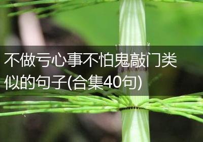 不做亏心事不怕鬼敲门类似的句子(合集40句)