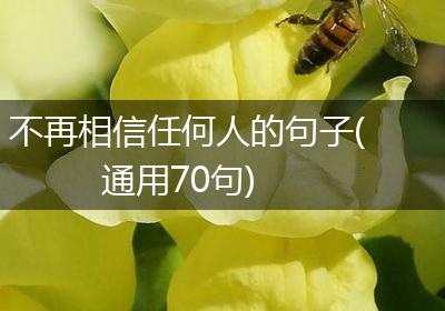不再相信任何人的句子(通用70句)