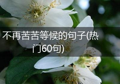 不再苦苦等候的句子(热门60句)