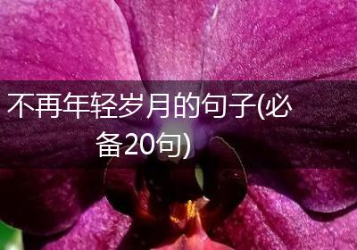 不再年轻岁月的句子(必备20句)