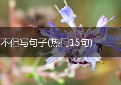 不但写句子(热门15句)