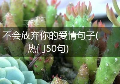 不会放弃你的爱情句子(热门50句)