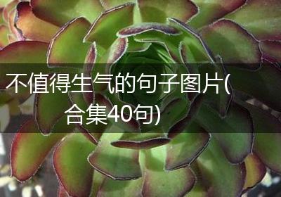 不值得生气的句子图片(合集40句)